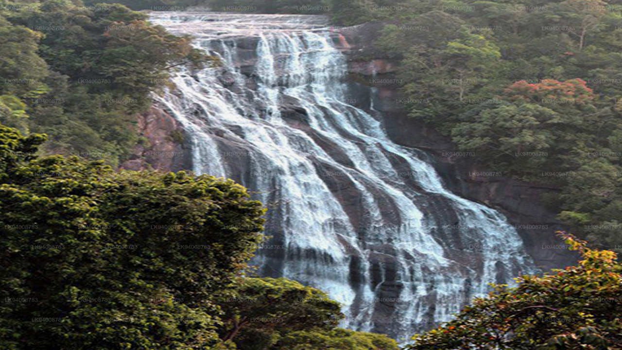 Mahaoya Falls Sri Lanka